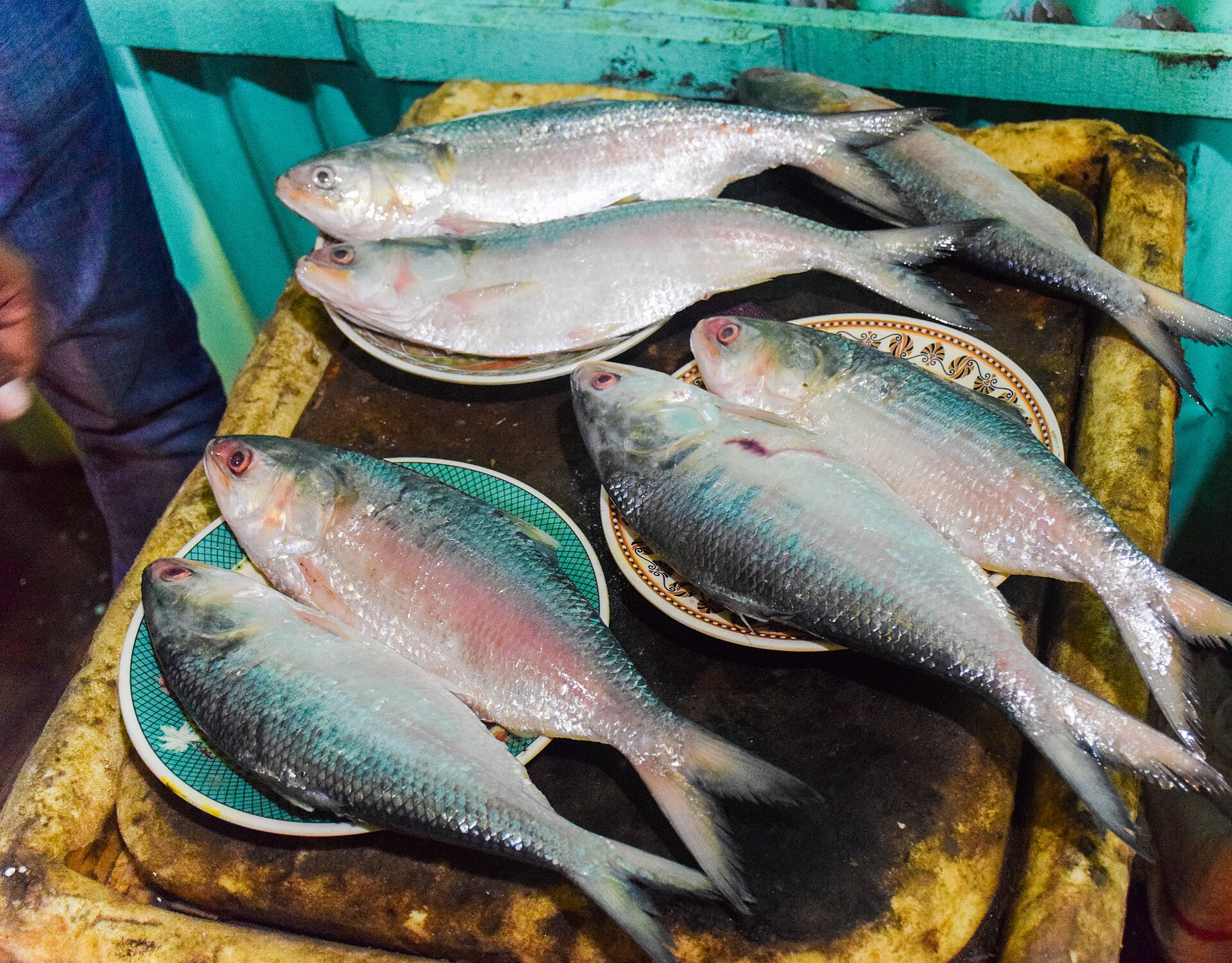 Fresh fish are displayed on plates at a market, showcasing delicious Indian cuisine.