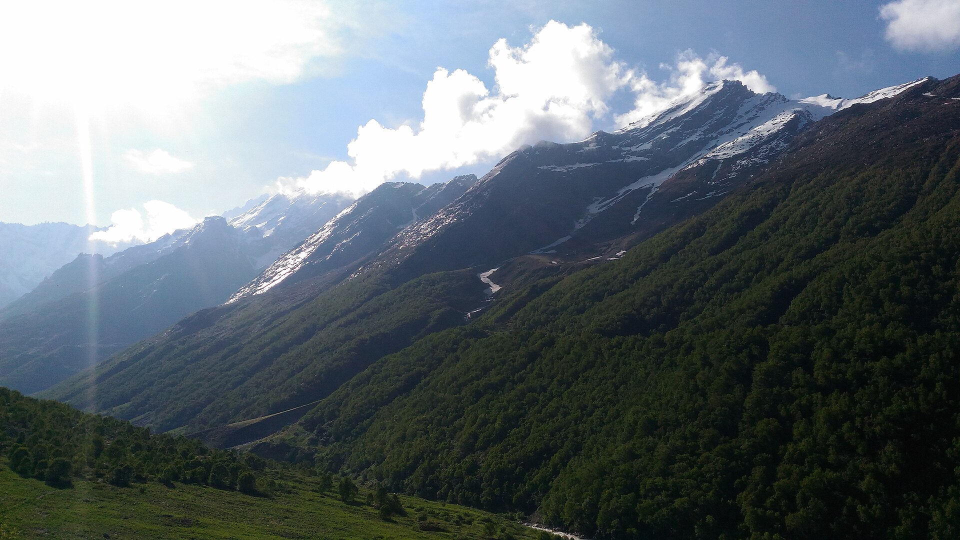 Valley of Flowers,Uttarakhand 05